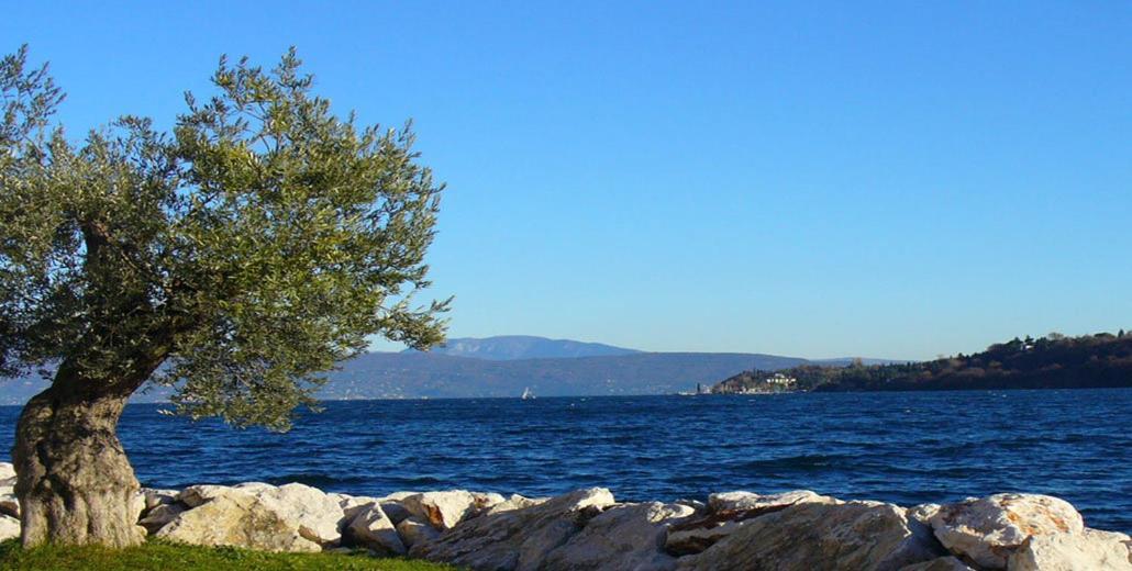 Agriturismo Villa Bissiniga Salò Dış mekan fotoğraf