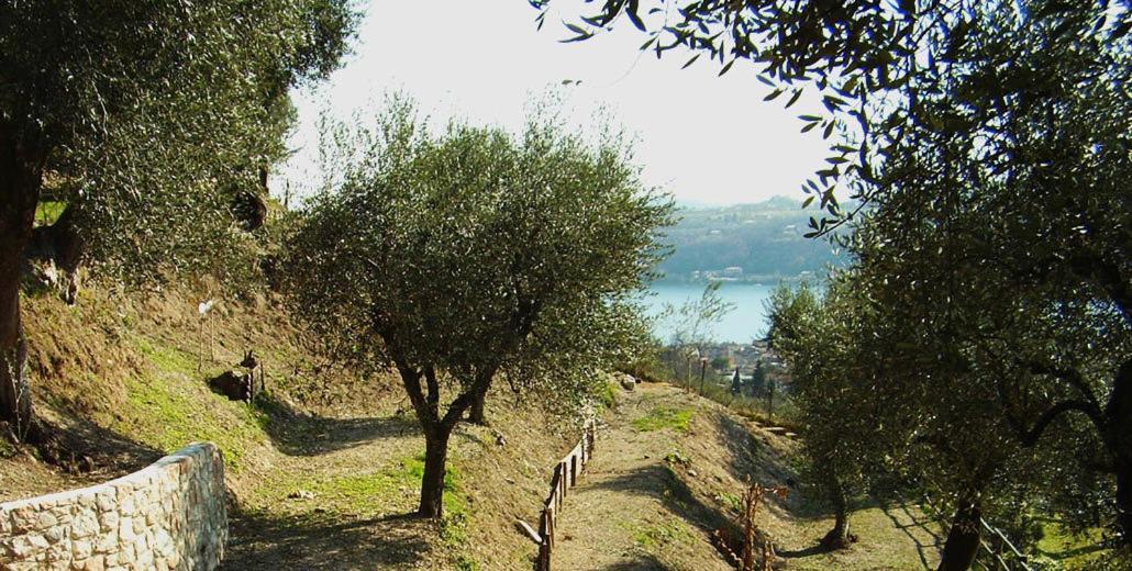Agriturismo Villa Bissiniga Salò Dış mekan fotoğraf